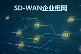 一篇文章带你了解企业组网的作用以及SD-WAN的优势！