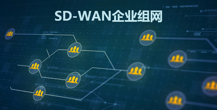 SD-WAN 企业组网