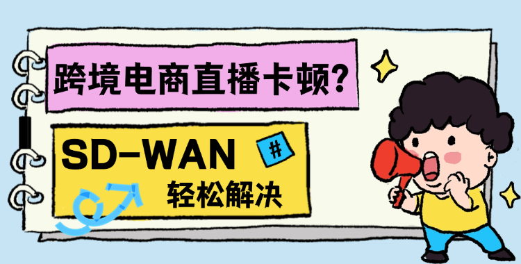 跨境电商直播 SD-WAN专线